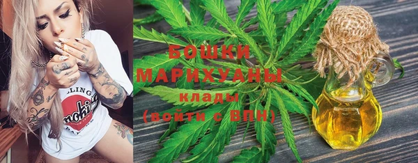 эйфоретик Аркадак