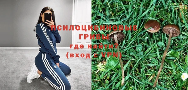 не бодяженный Алексин